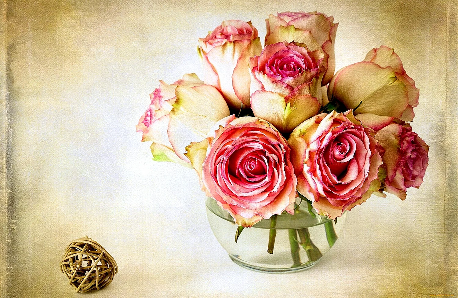 Красивые картинки роз необыкновенные цвета