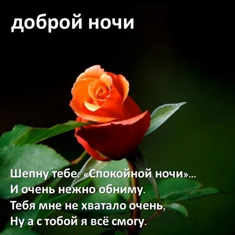 Красивые пожелания спокойной ночи девушке