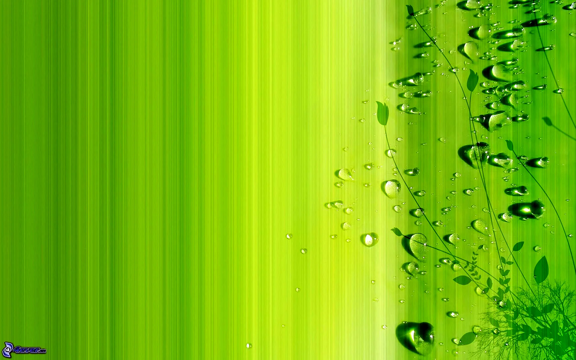 Красивый зеленый фон