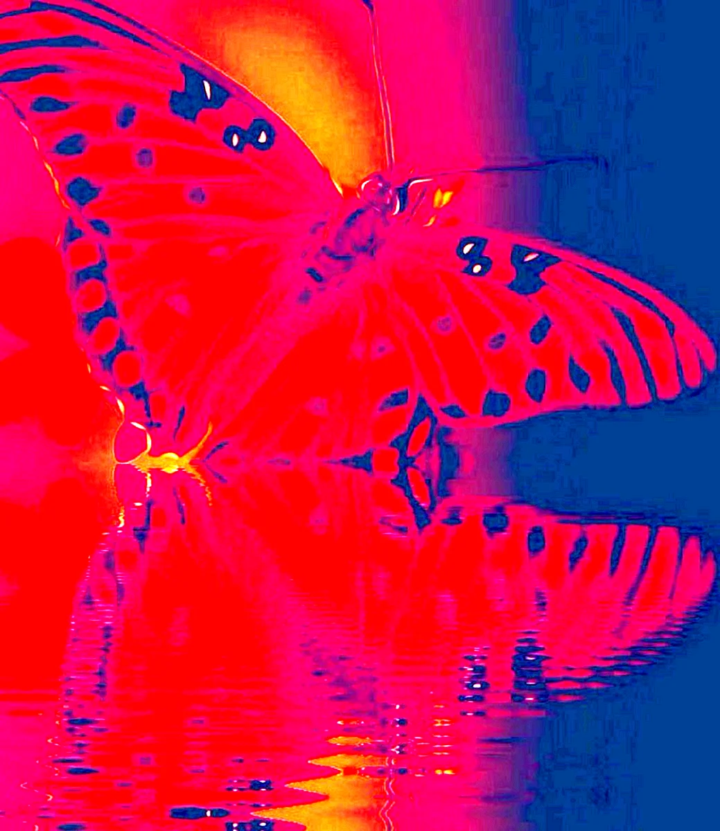 Красная бабочка