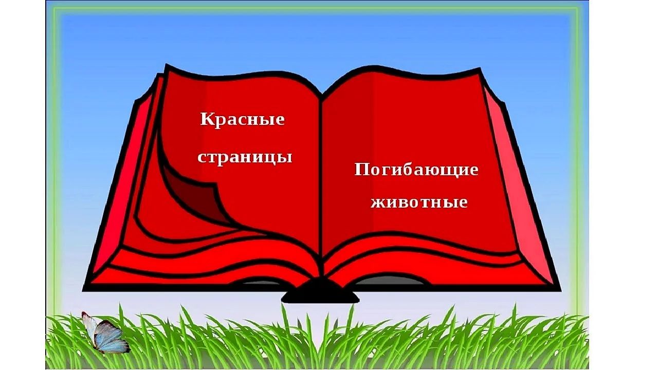 Красная книга фон