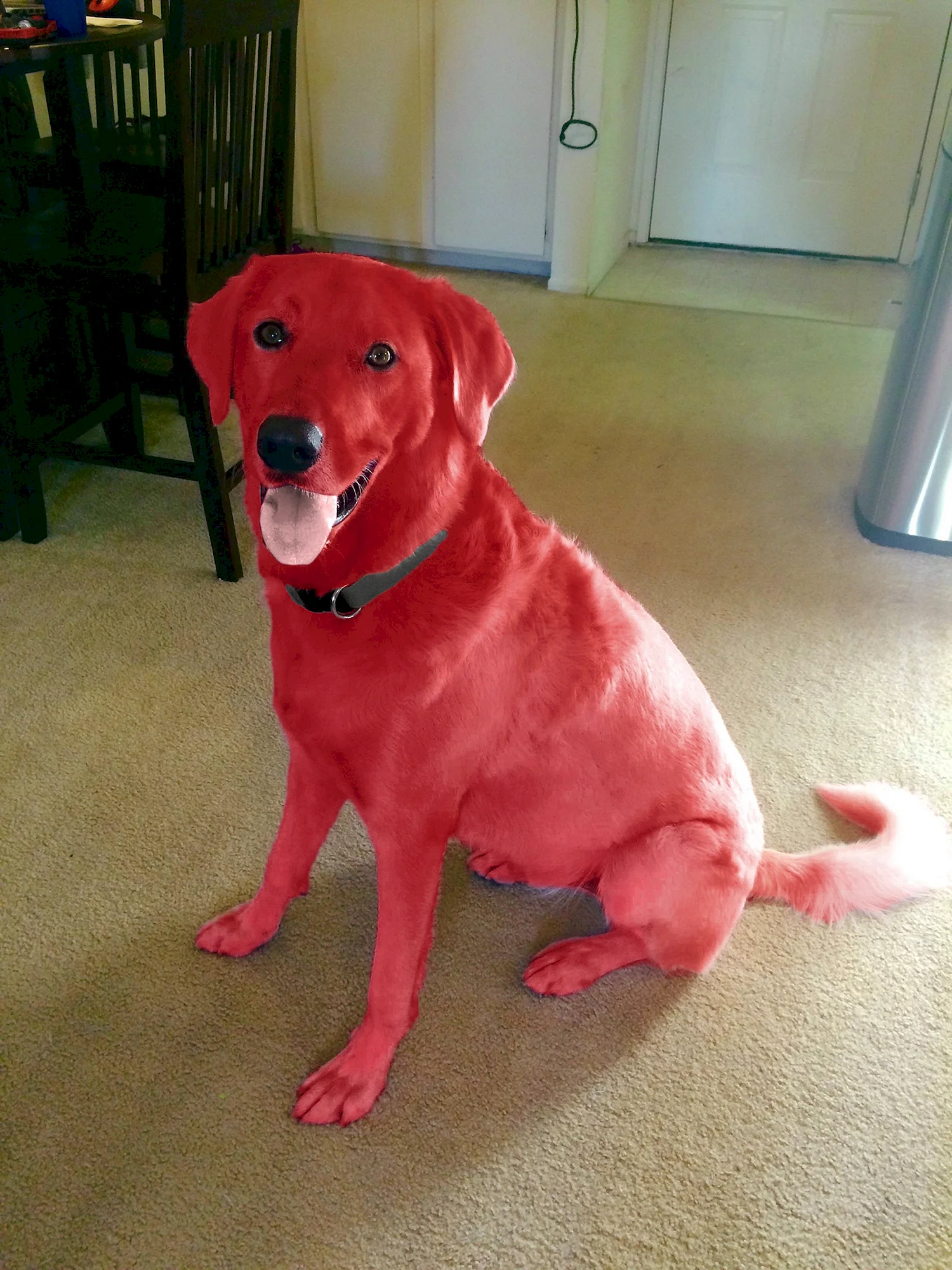 Красная собака