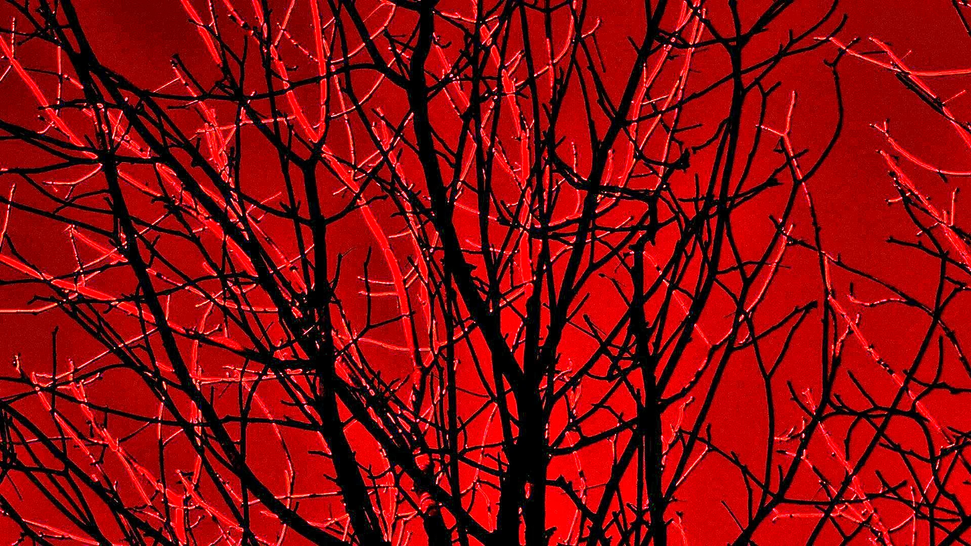 Красное дерево фон