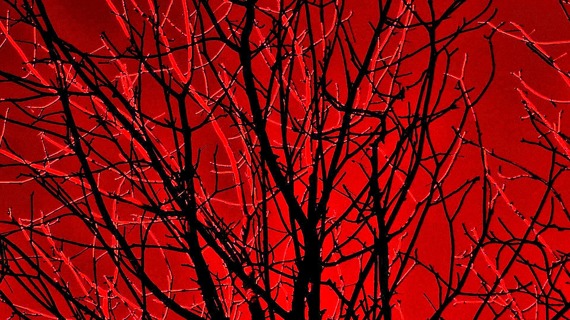 Красное дерево фон