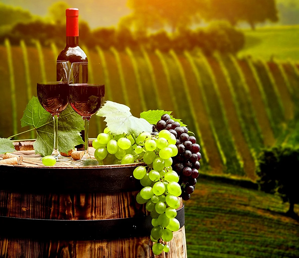 Красное вино и виноград