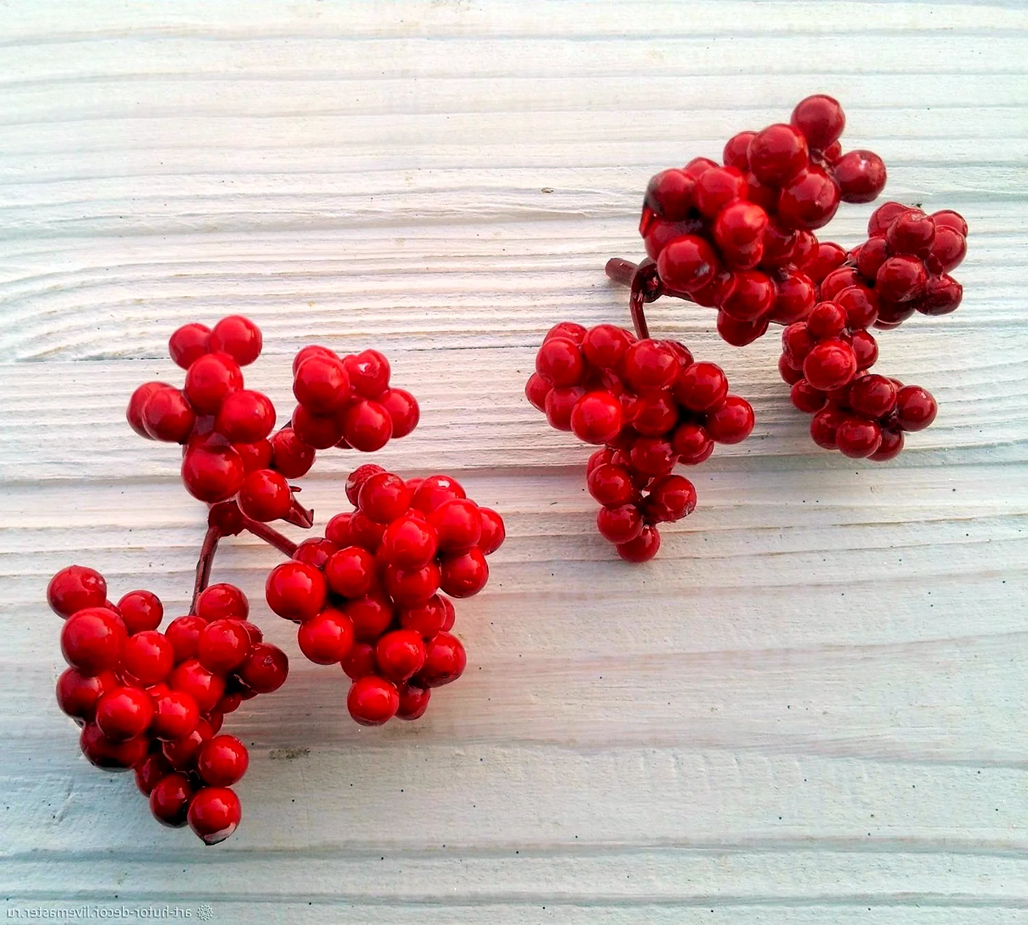 Красные декоративные ягоды