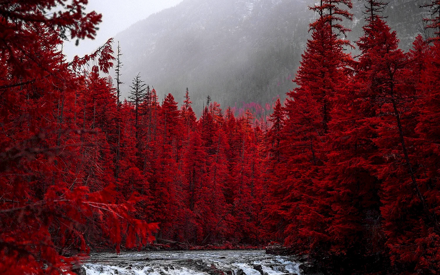 Красные леса