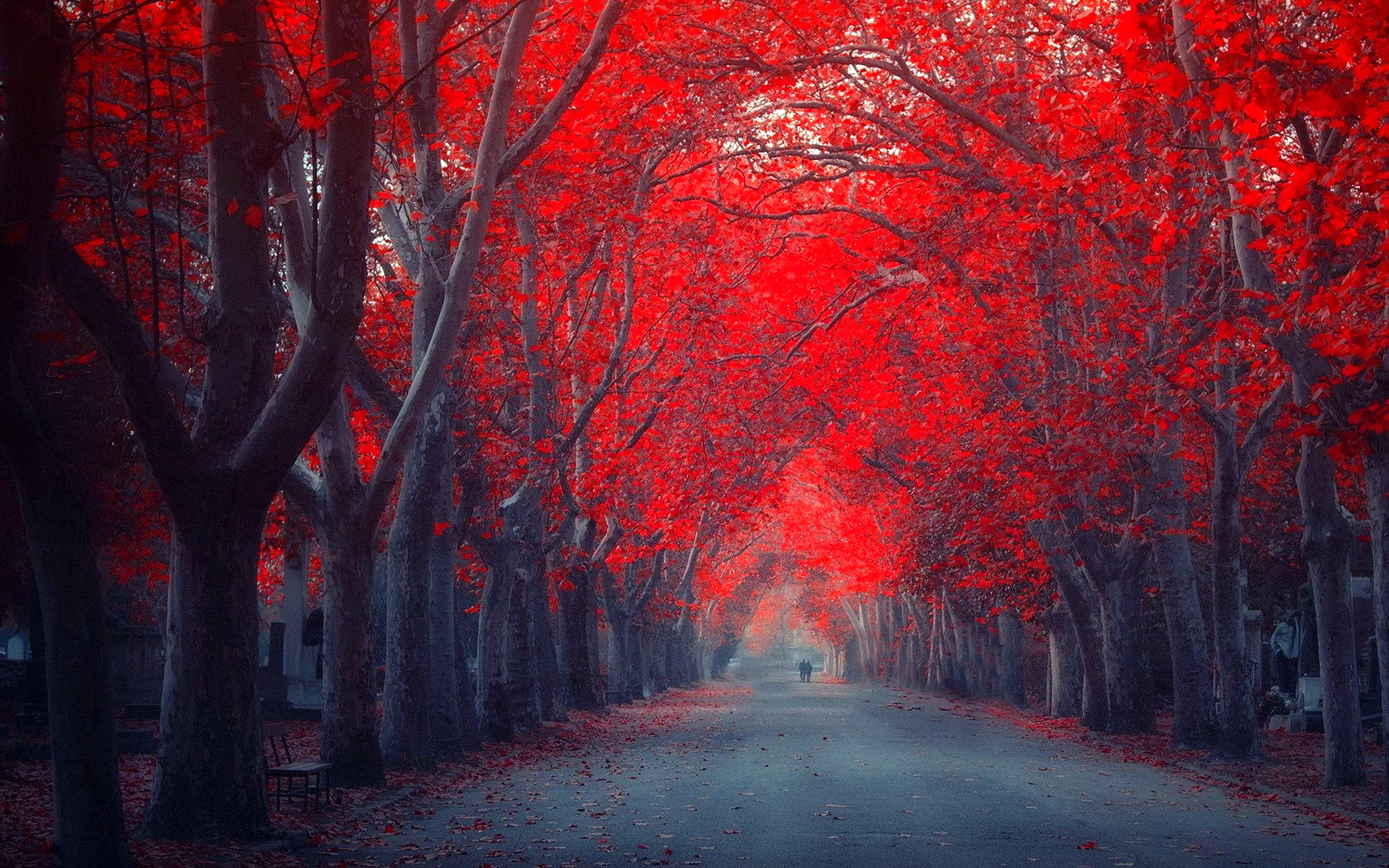 Красный пейзаж