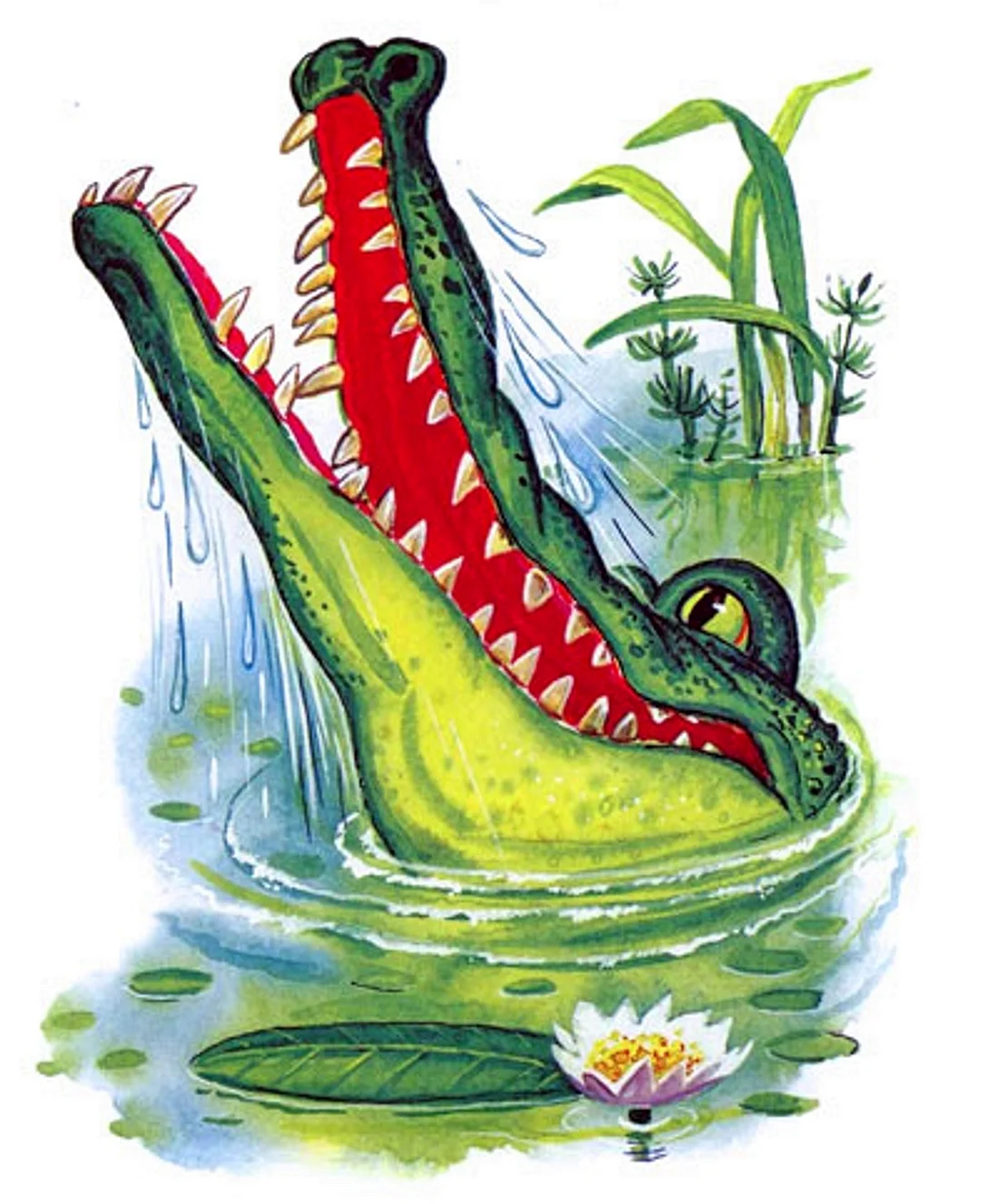 Крокодил плывет рисунок