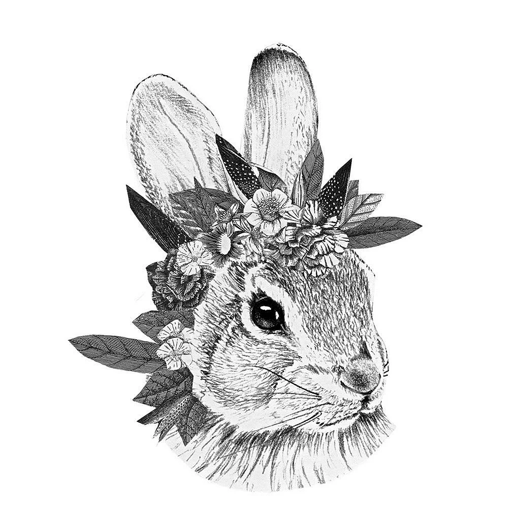 Кролик эскиз