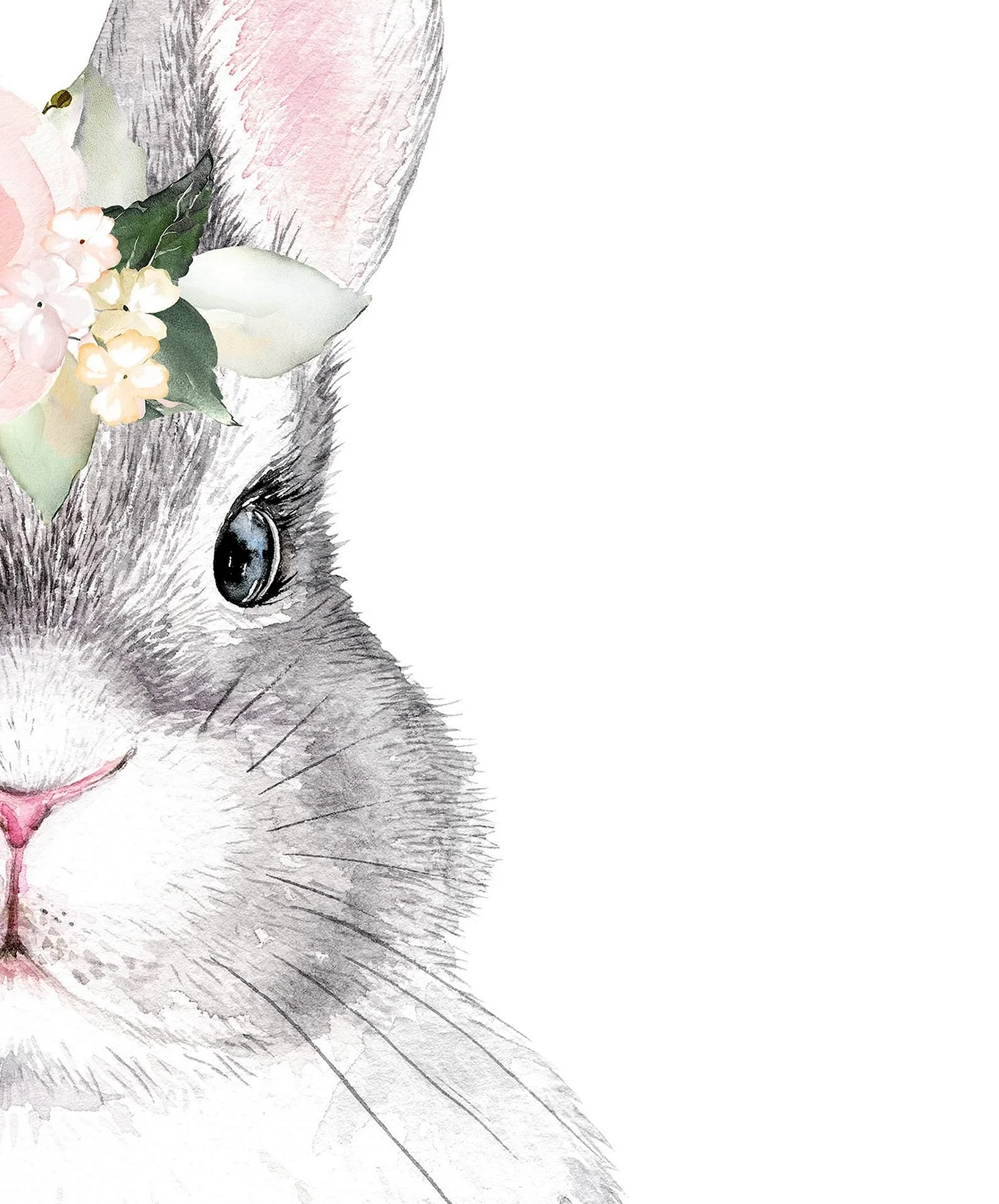Кролик Постер Bunny