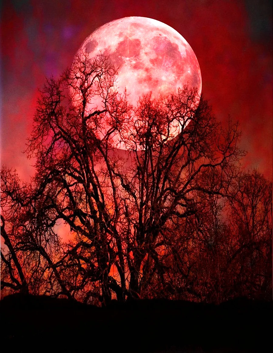 Кровяная Луна