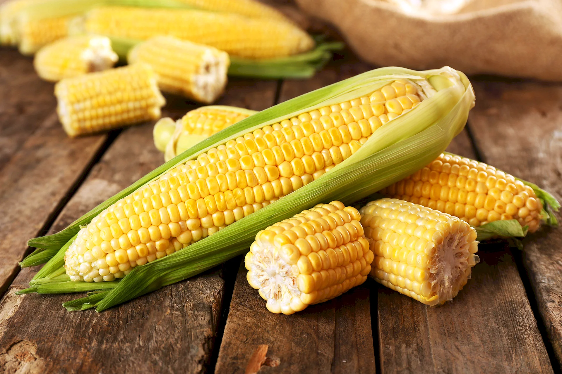 Кукуруза Corn