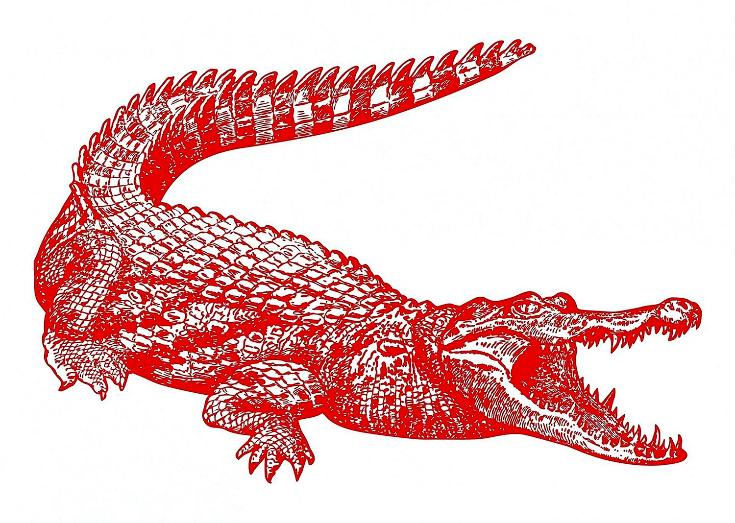 Лакост красный крокодил