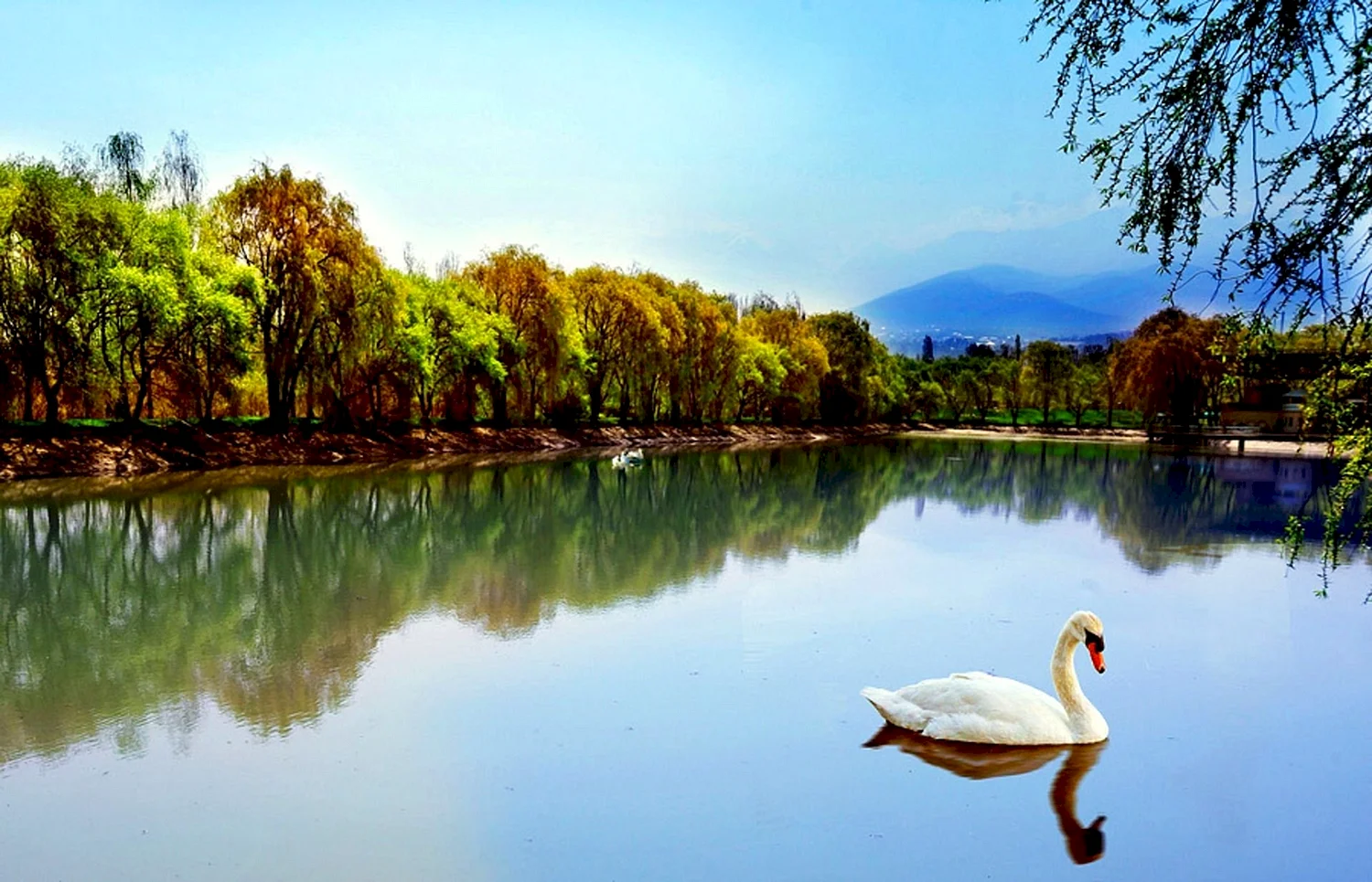 Лебединое озеро Абхазия