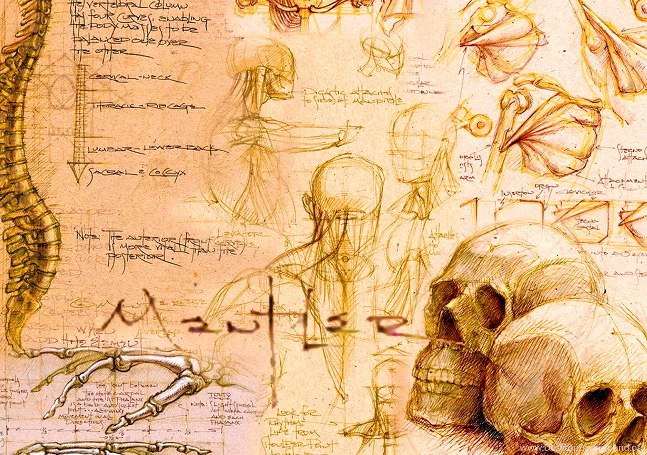 Леонардо да Винчи анатомия и медицина