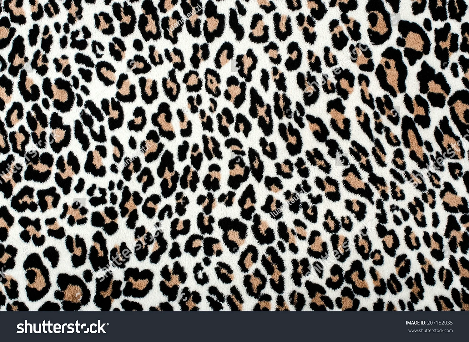 Леопардовые пятна на белом фоне
