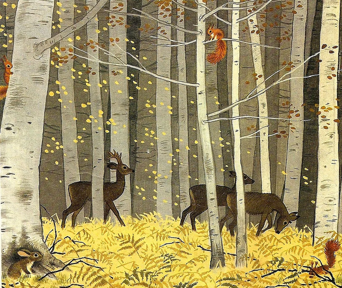 Лес иллюстратор осень