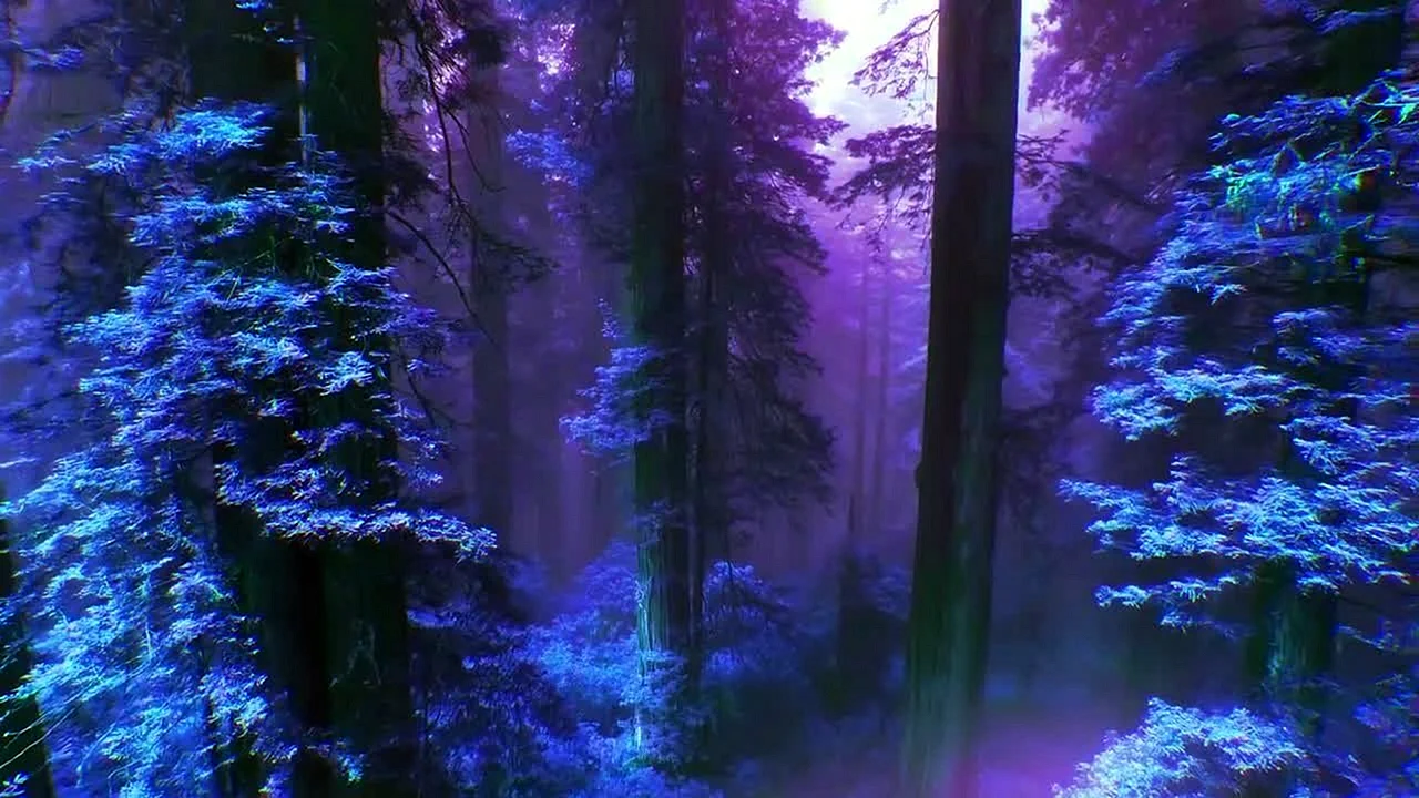 Лес в фиолетовых тонах