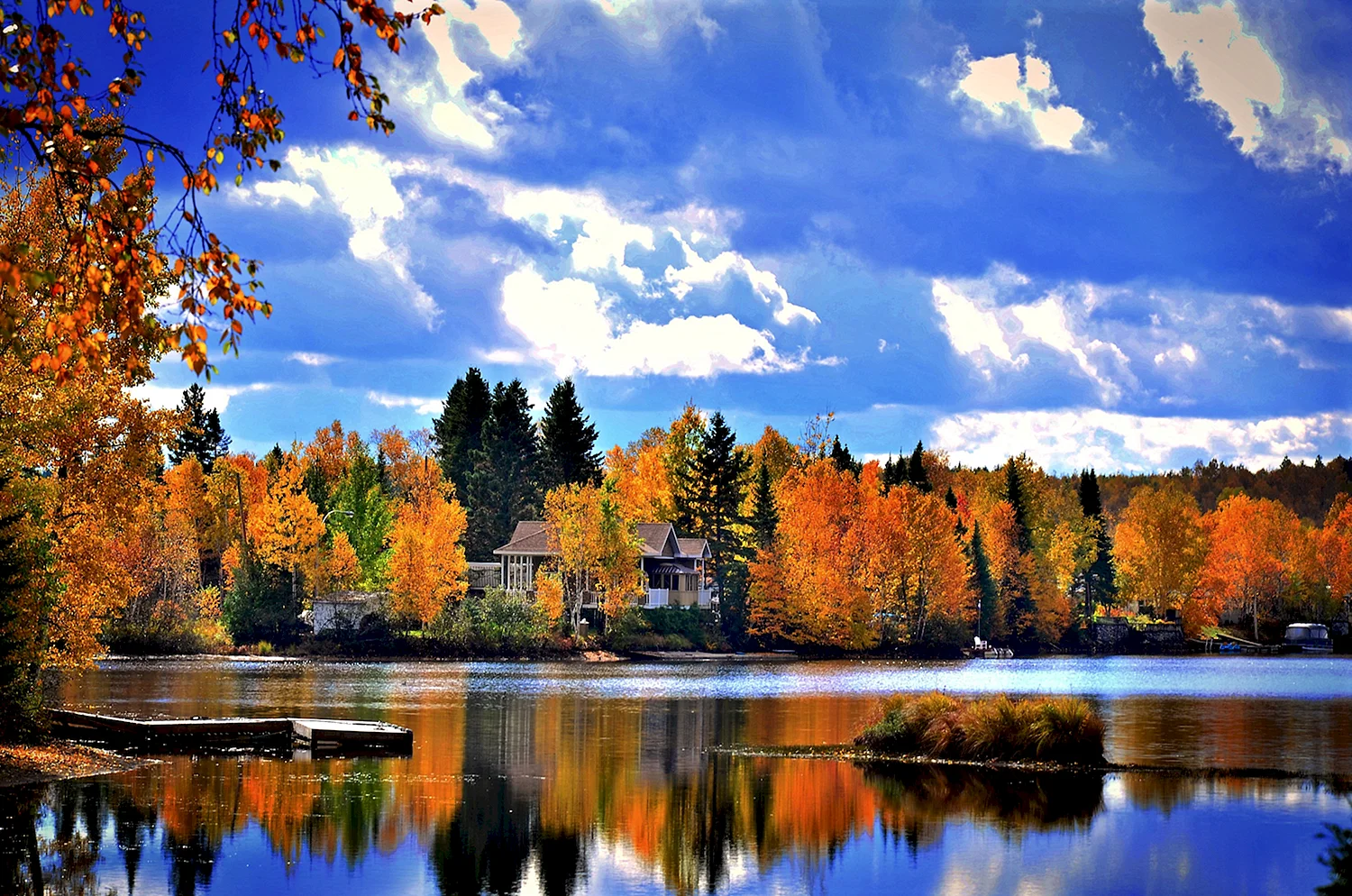 Леса озера Онтарио