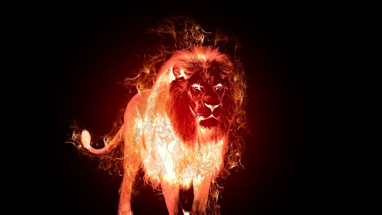 Лев из огня