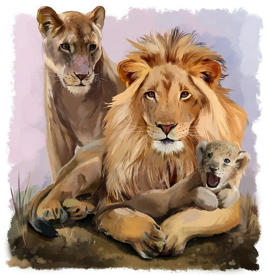 Лев львица и Львенок семья