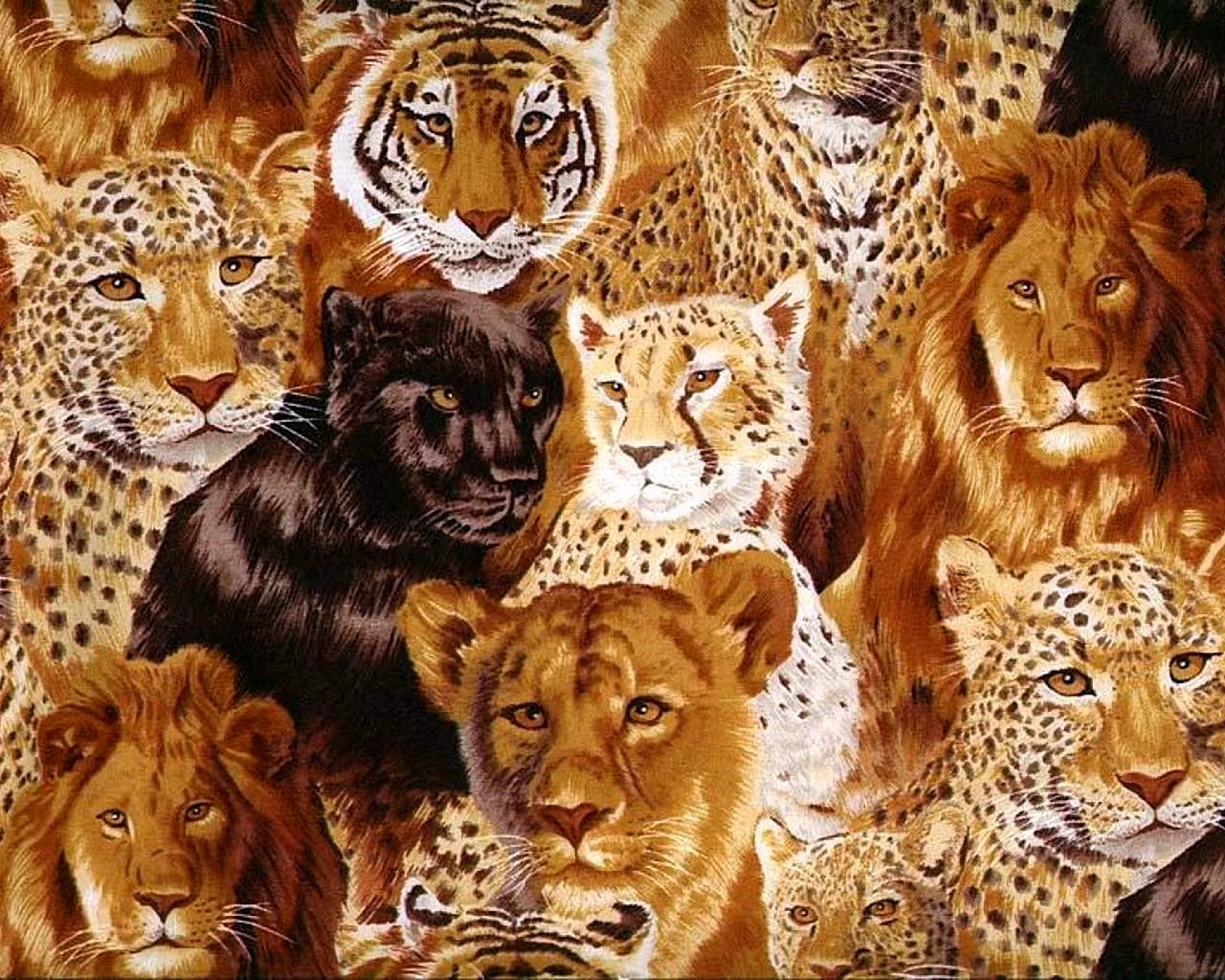 Лев тигр леопард Ягуар