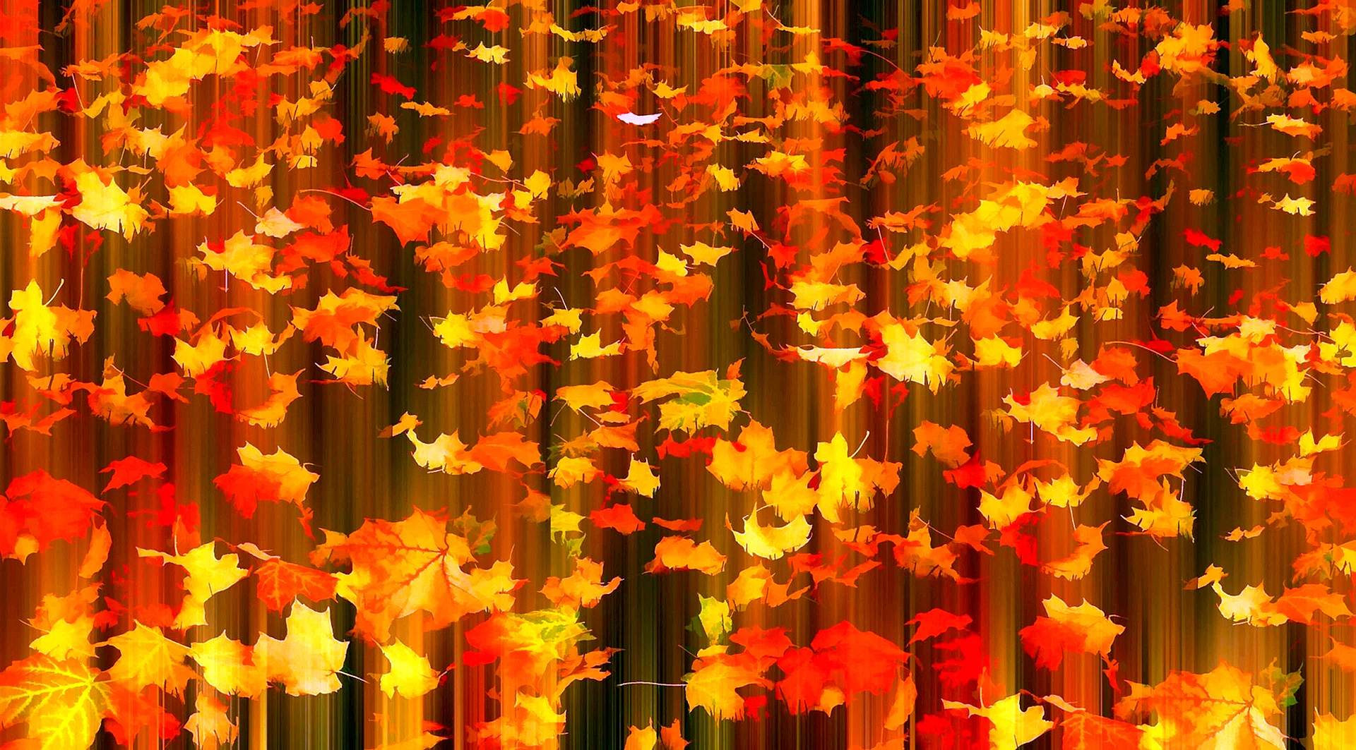 Листья листопад
