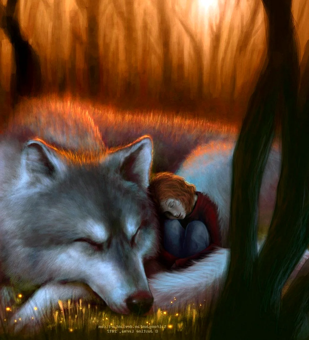 Лисы и волки