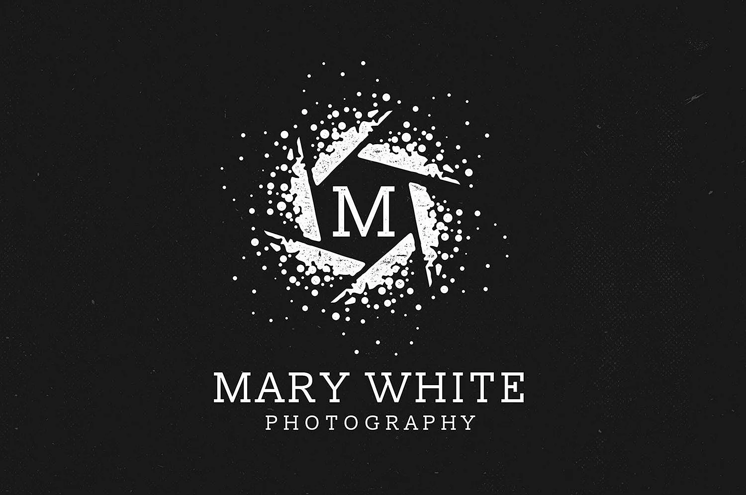 Логотип фотографа примеры