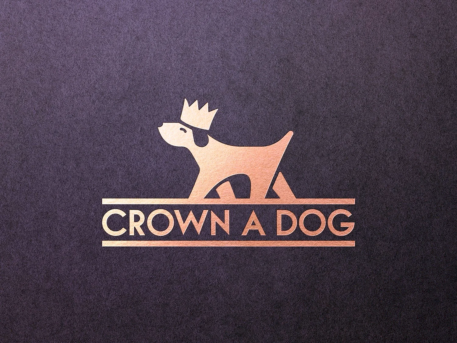 Логотип магазина для животных