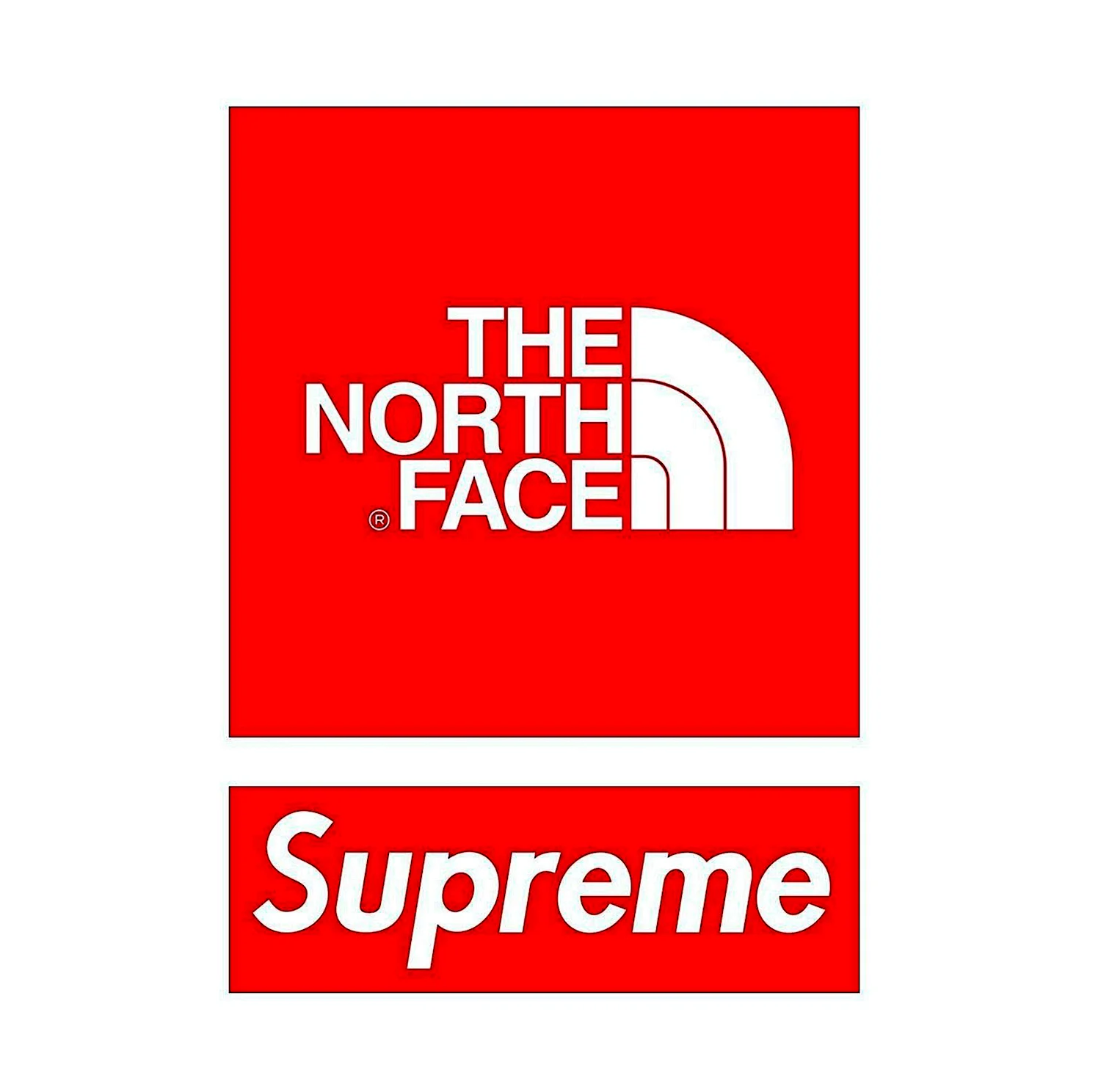 Логотип Supreme/the North face