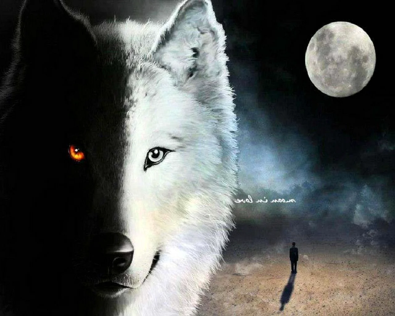 Lone Wolf одинокий волк