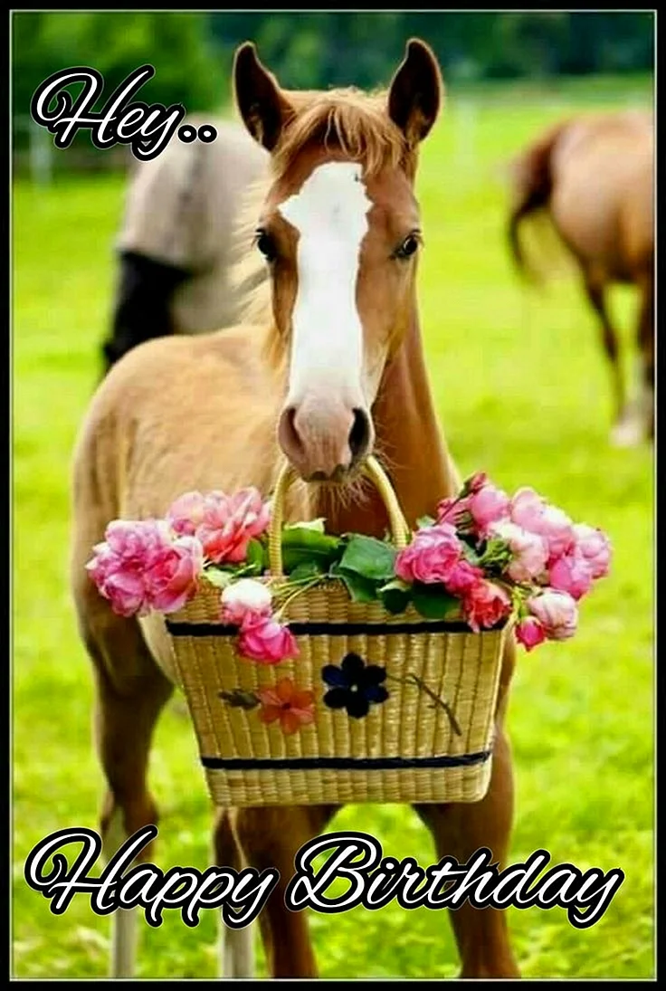 Лошадь цветы
