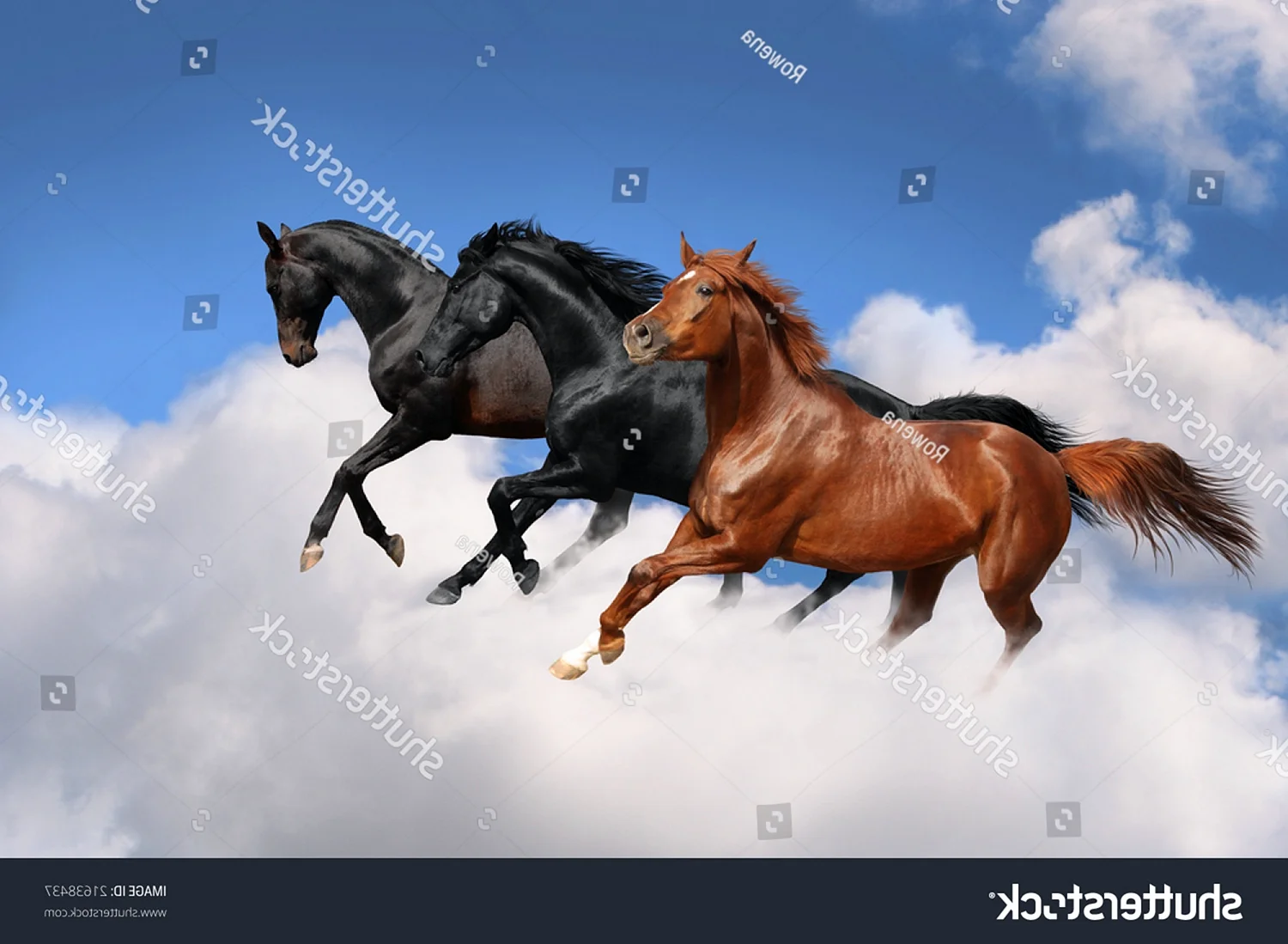 Лошадь в небе