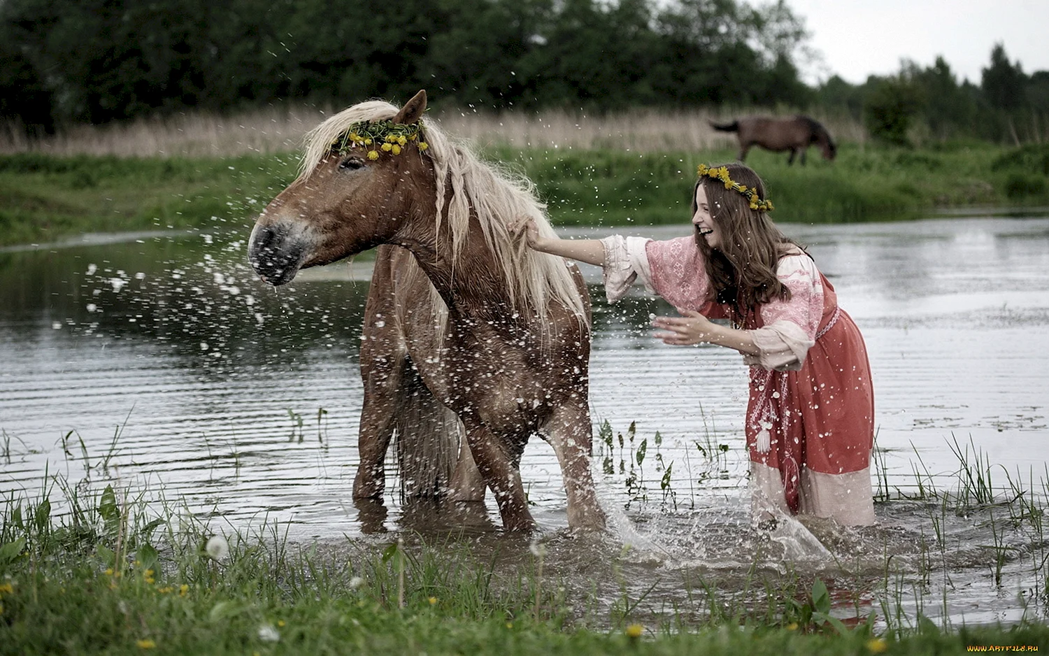 Лошади у реки