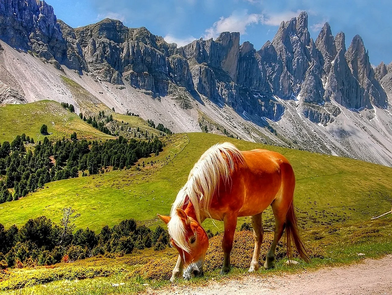 Лошади в горах