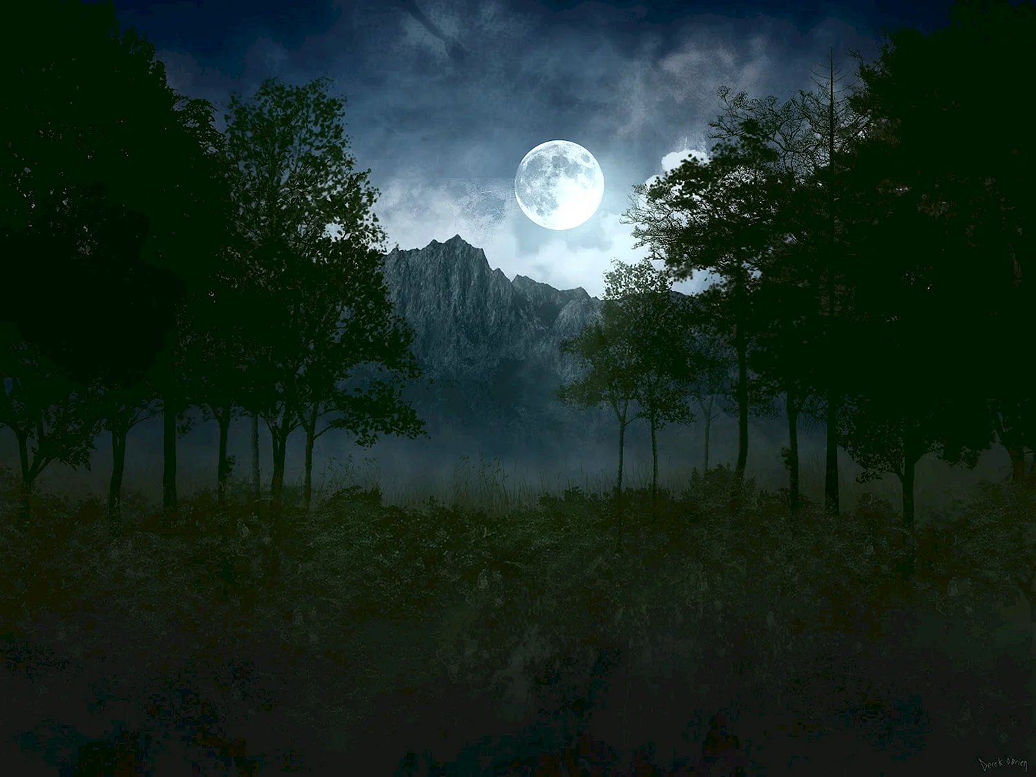 Луна в лесу