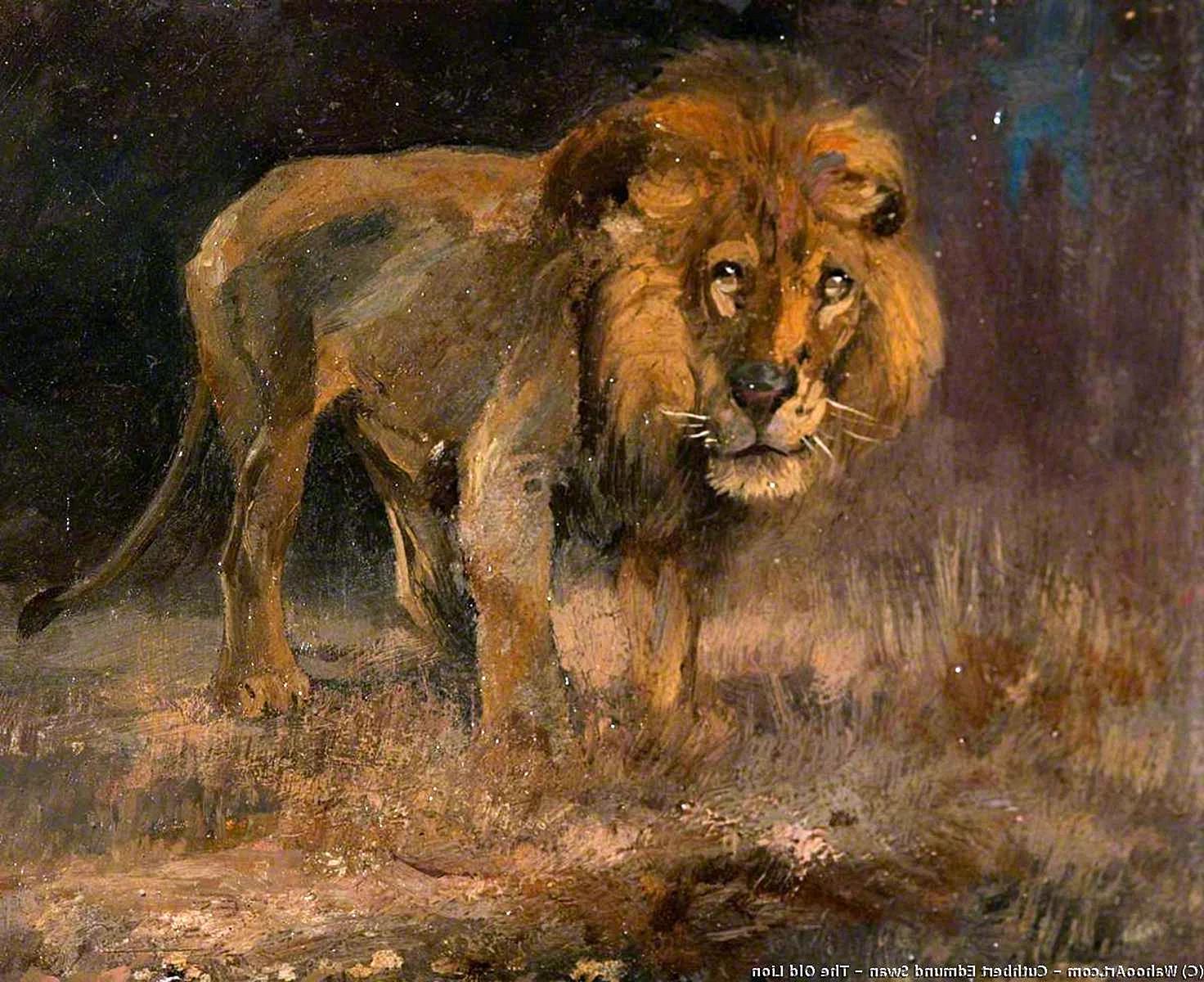 Львы на старых картинах