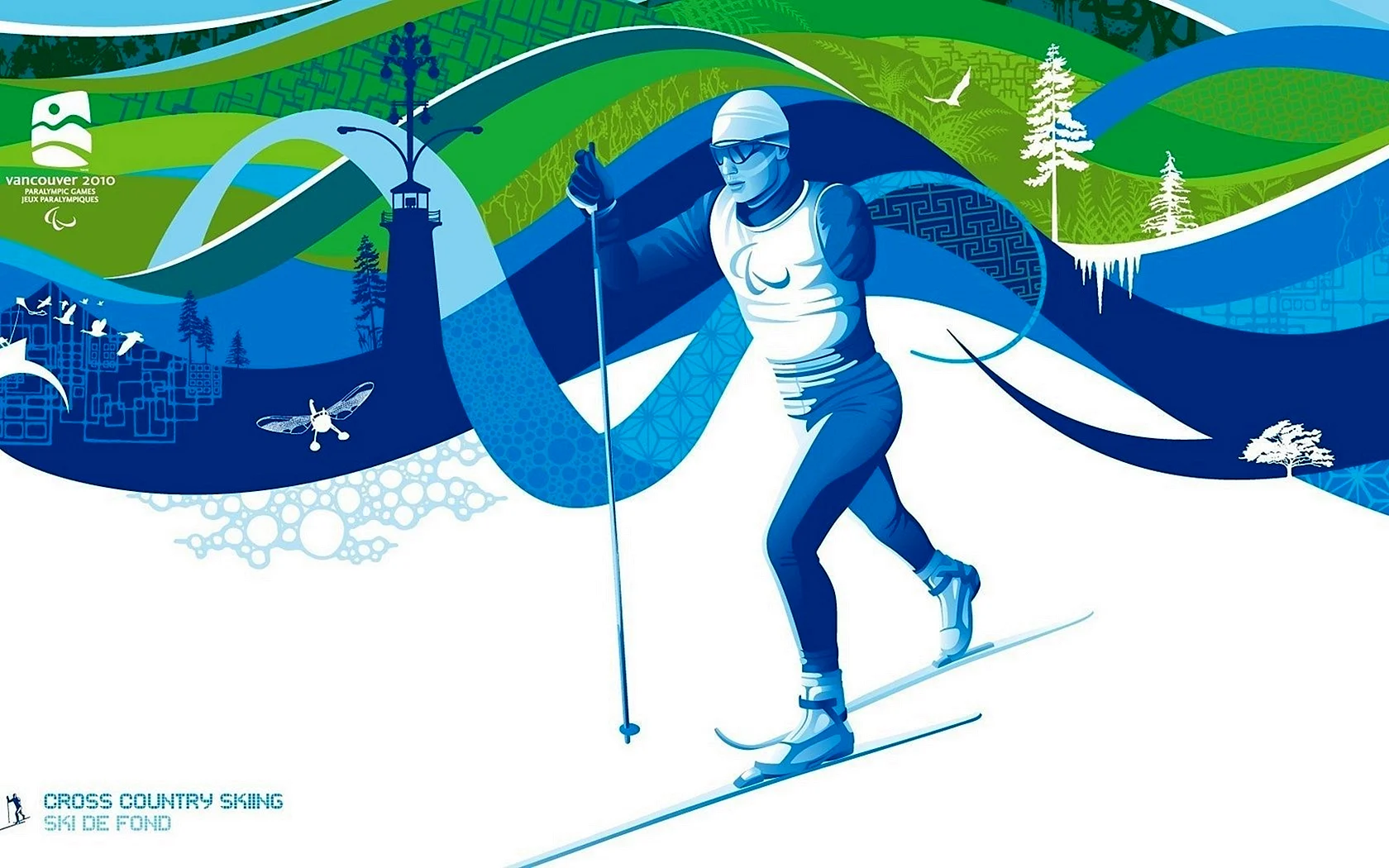 Лыжные гонки на зимних Олимпийских играх 2010