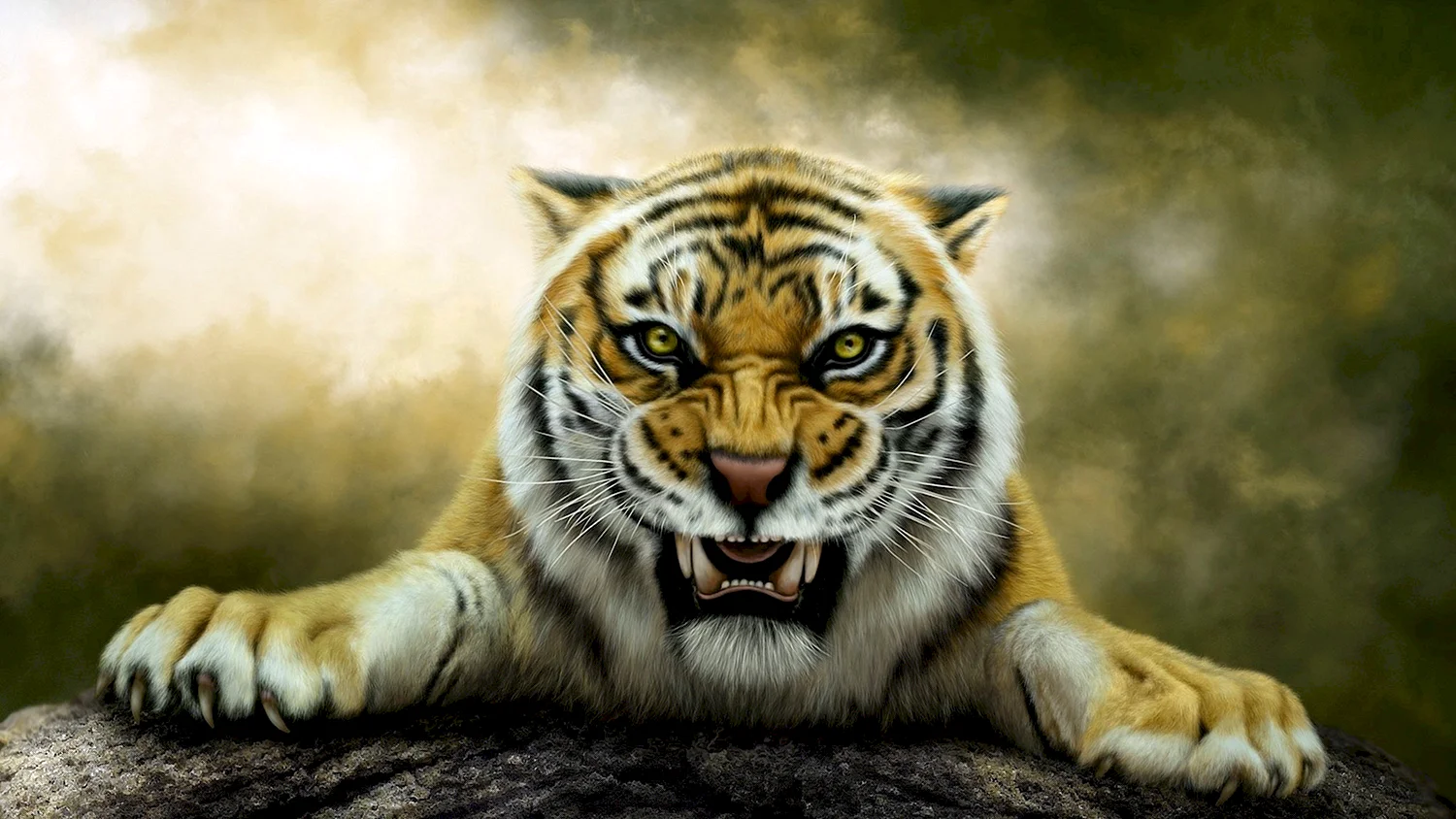 Macan тигр