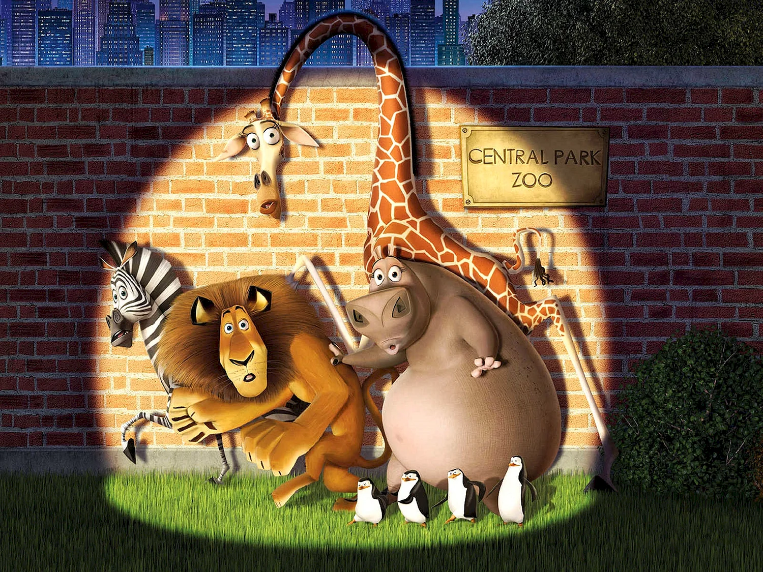 Мадагаскар мультфильм 2005 СТС