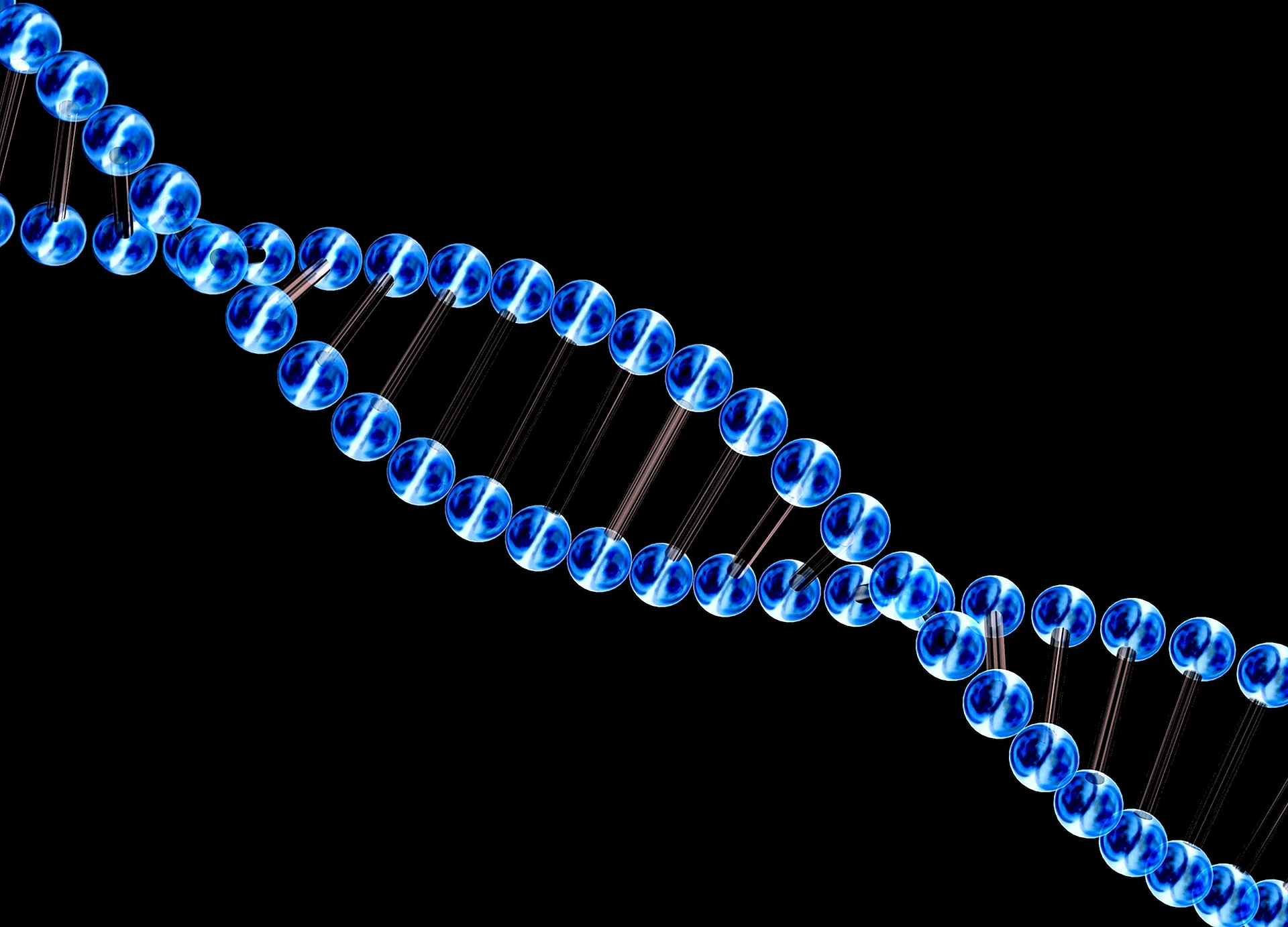 Макромолекула ДНК