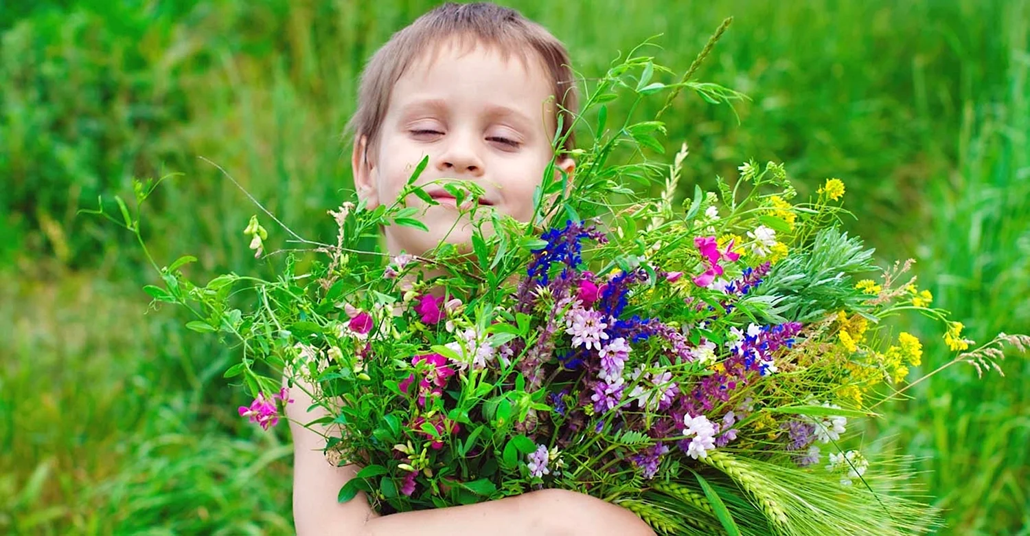 Мальчик с букетом полевых цветов