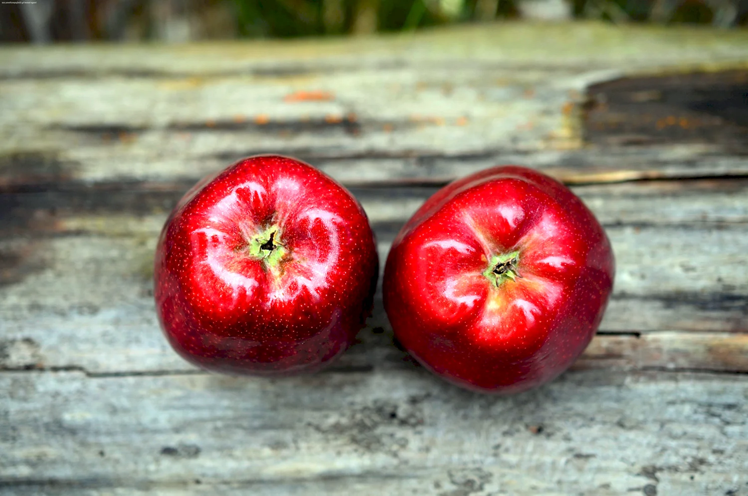 Маленькие красные яблоки