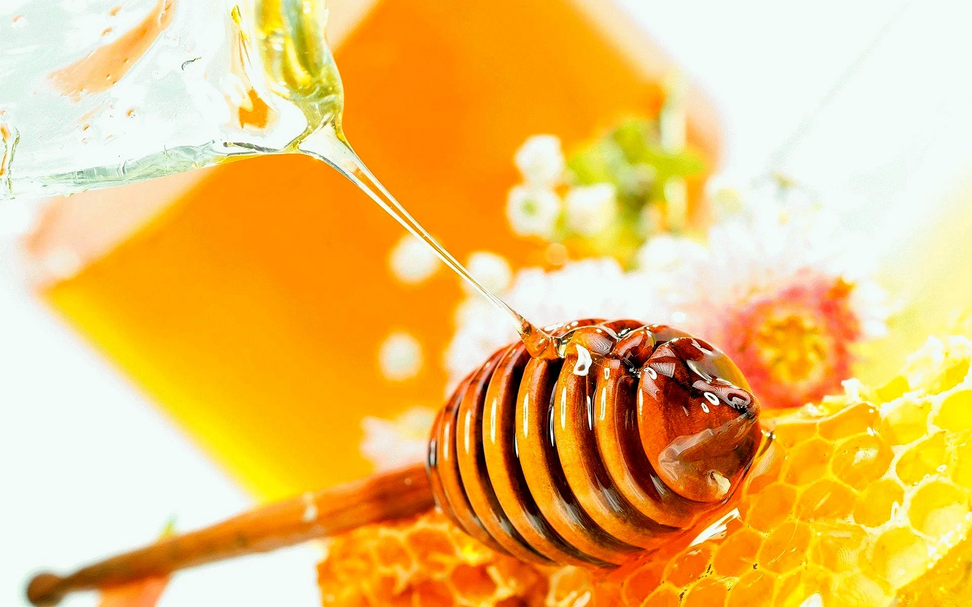 Мед пчелиный разнотравье