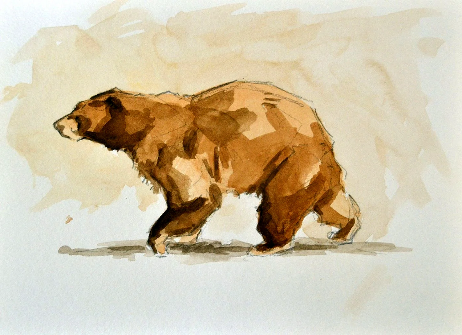 Медведь акварелью