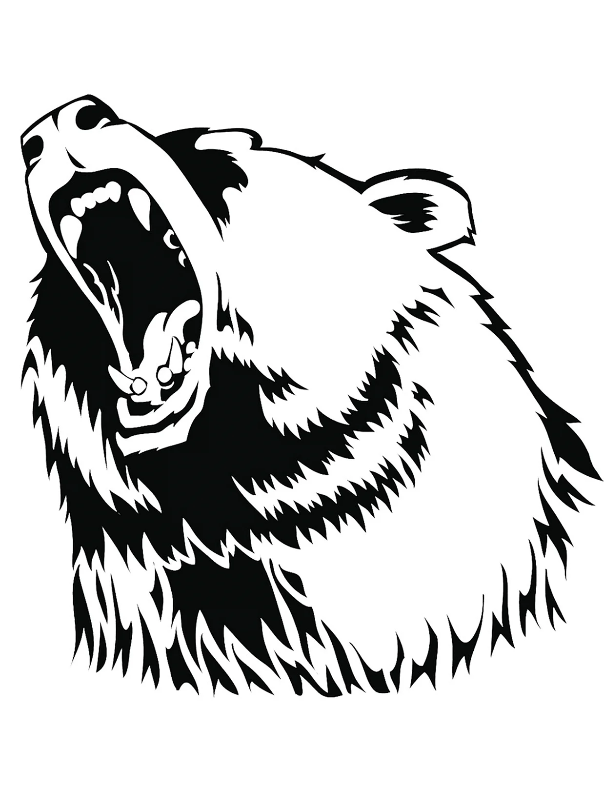 Медведь черно белый