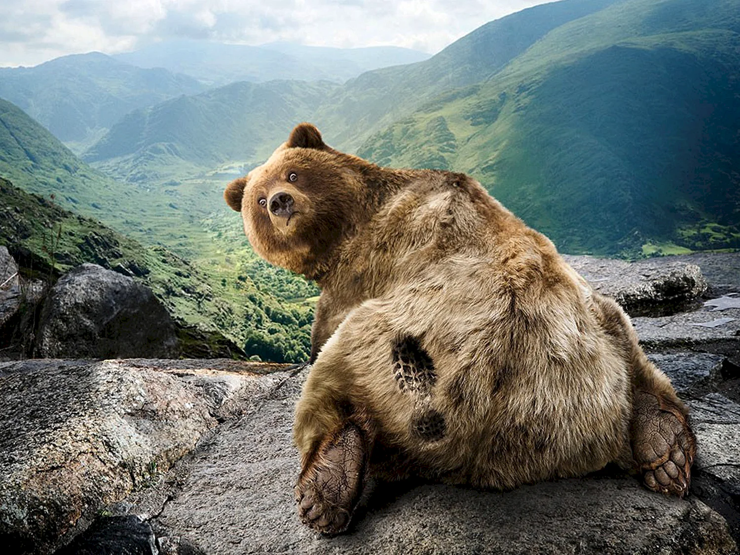 Медведь гора