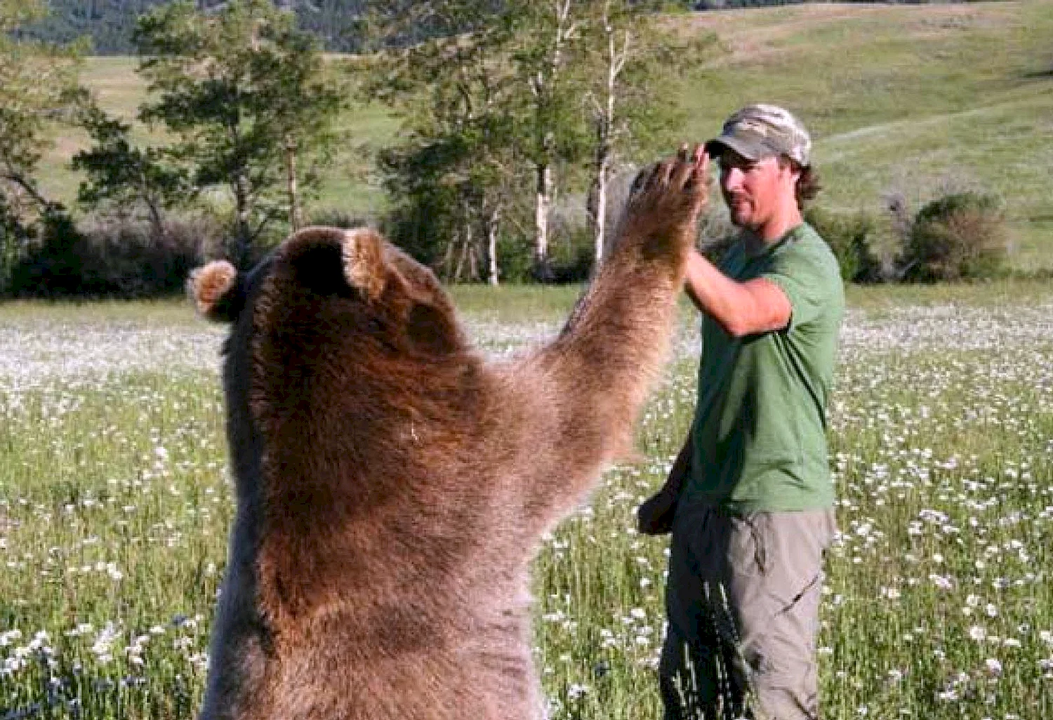 Медведь Гризли и человек Дружба
